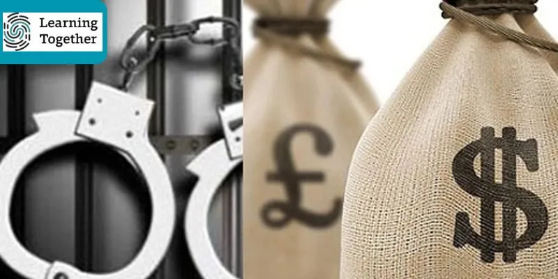 Summary of alternative treatment-focused options to replace imprisonment